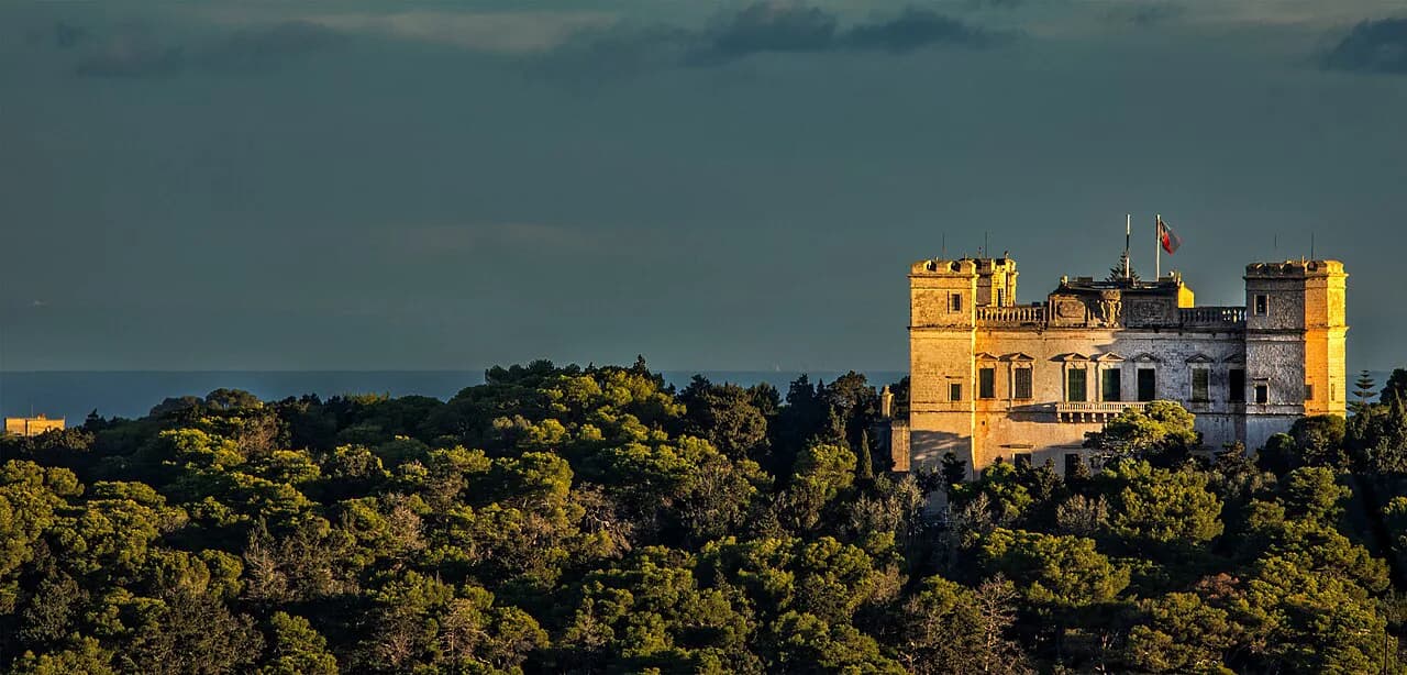 Buskett Gardens, Rabat: Woodland Visit Guide