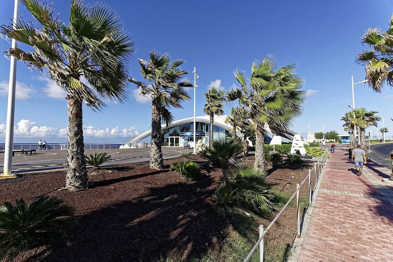 Qawra attractions: plan a headland walk and an aquarium stop