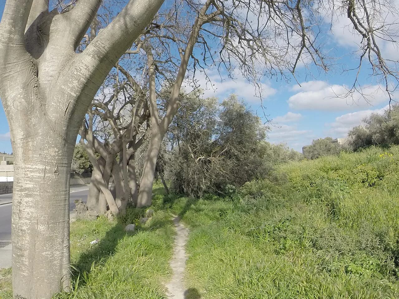 Lija, Malta: A Visitor's Guide to the Village of Ħal Lija
