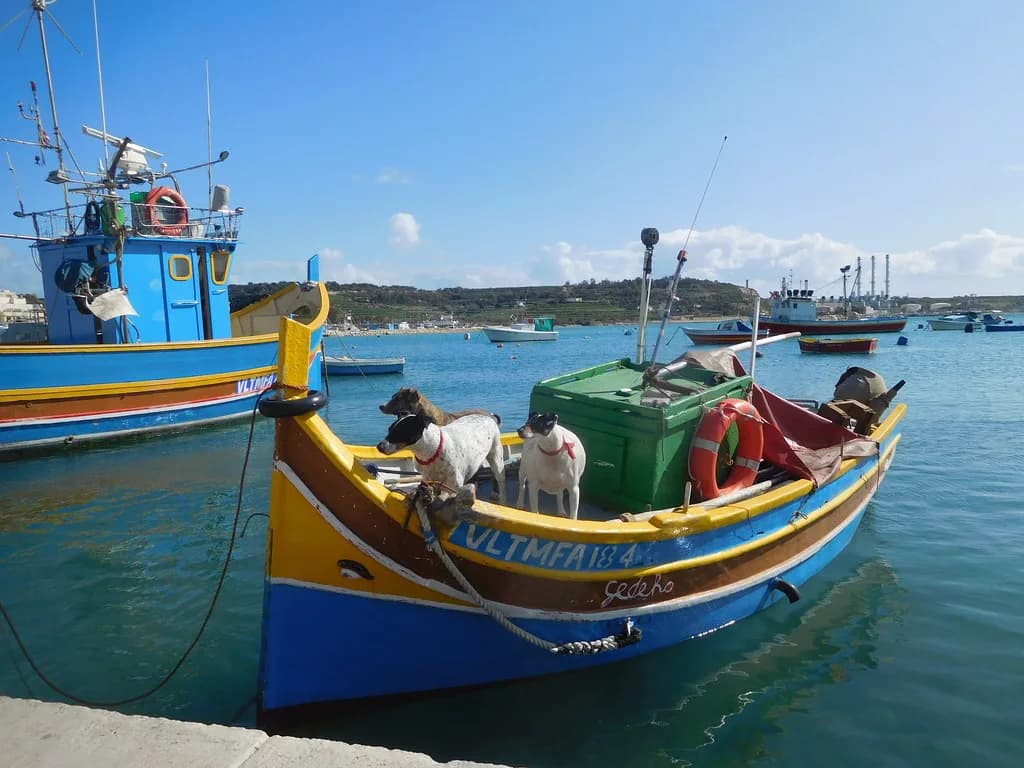 Sliema Boat Trips: Harbour Cruises, Comino Crossings and What to Book