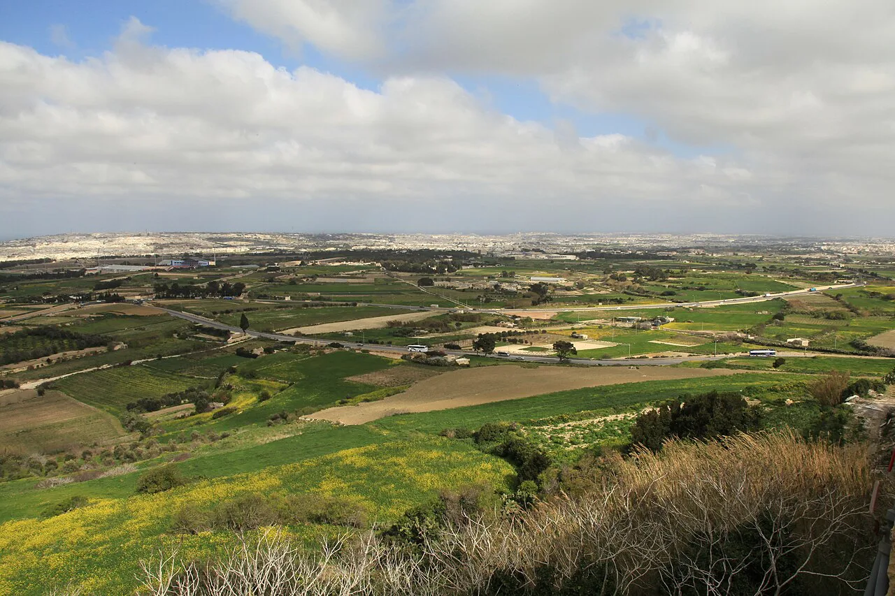 Farmland between Attard and Żebbuġ seen from above.