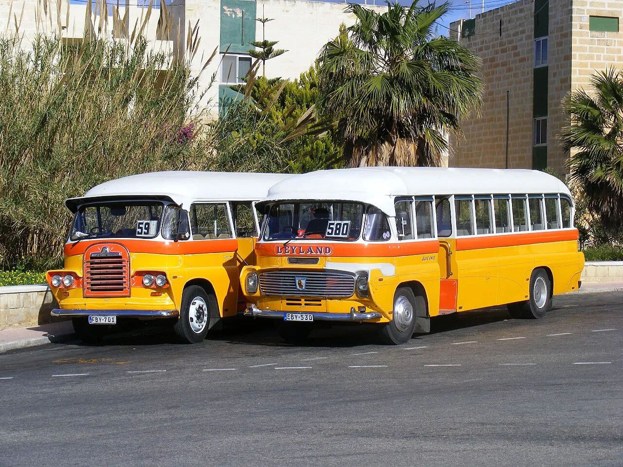 Two vintage Maltese buses at Qawra bus station.