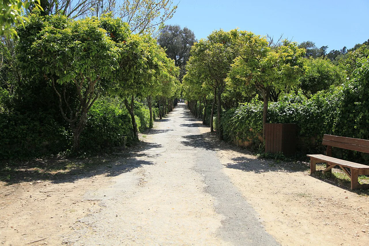 A shaded path in Buskett Gardens.
