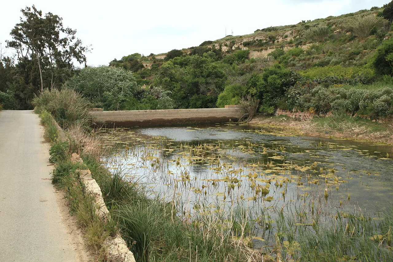 A reedy pool at Chadwick Lakes near Rabat.