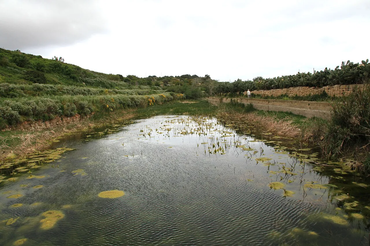 Still water at Chadwick Lakes in the Wied il-Qlejgħa valley near Rabat.