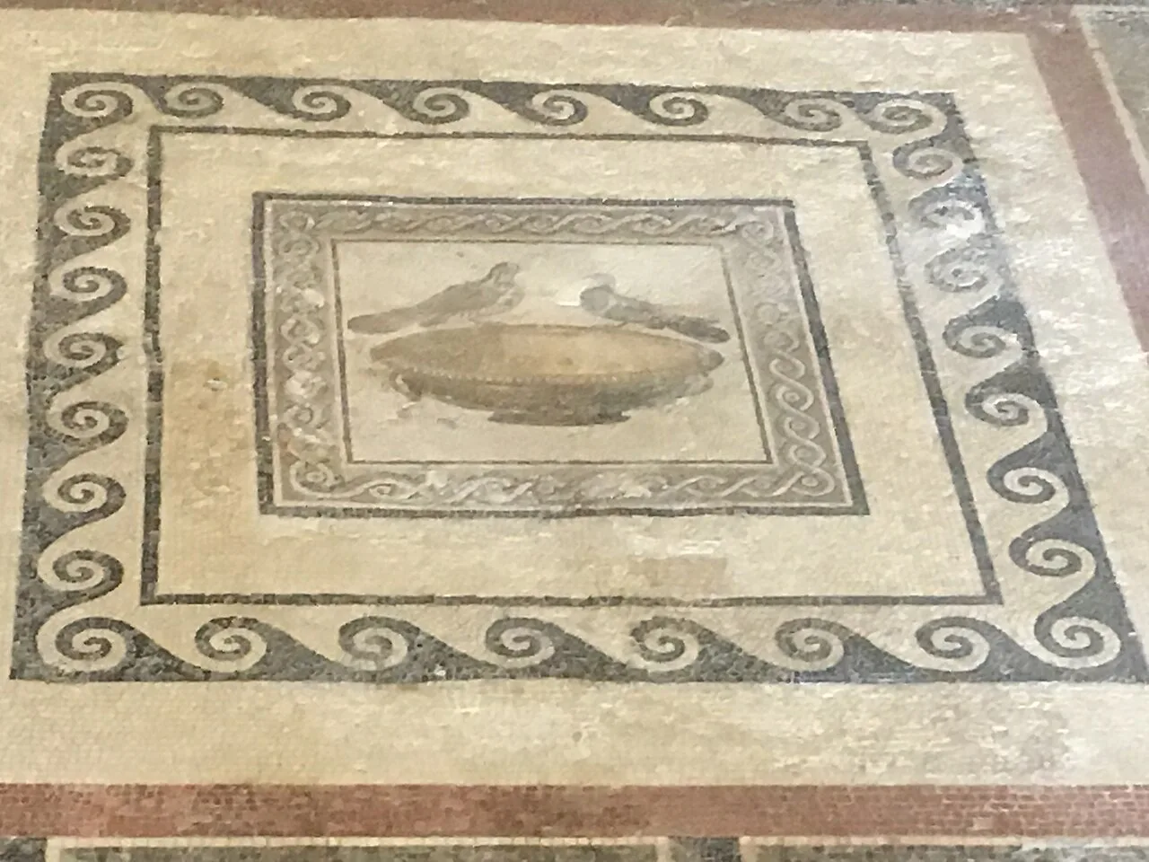 A mosaic floor at the Domus Romana in Rabat.