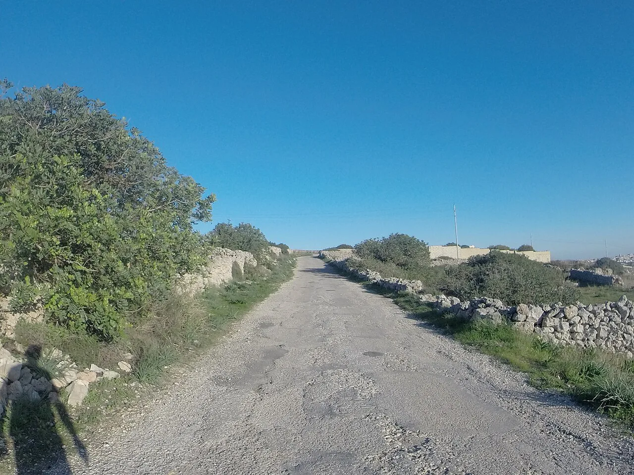 A country road in Malta lined with dry-stone walls.