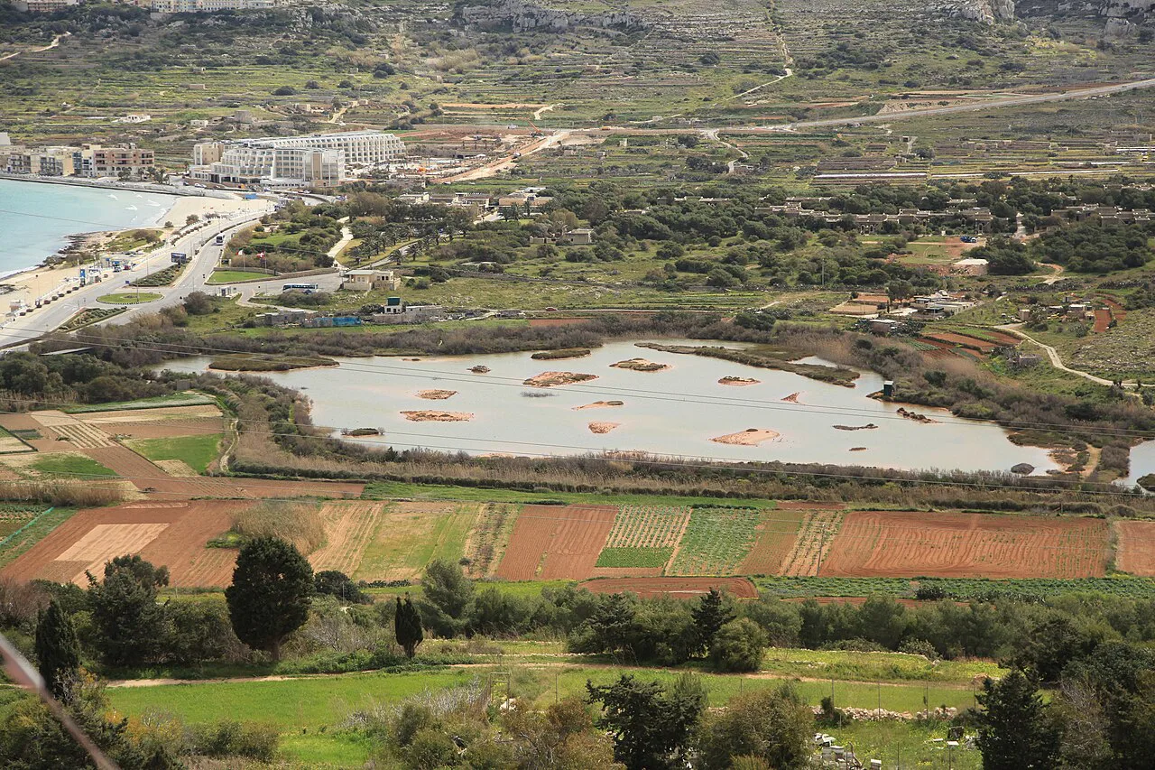 Għadira Nature Reserve and its salt pans seen from above.