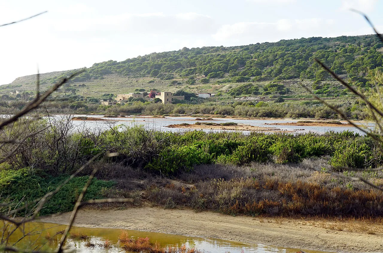 The marshland at Għadira Nature Reserve in Mellieħa.