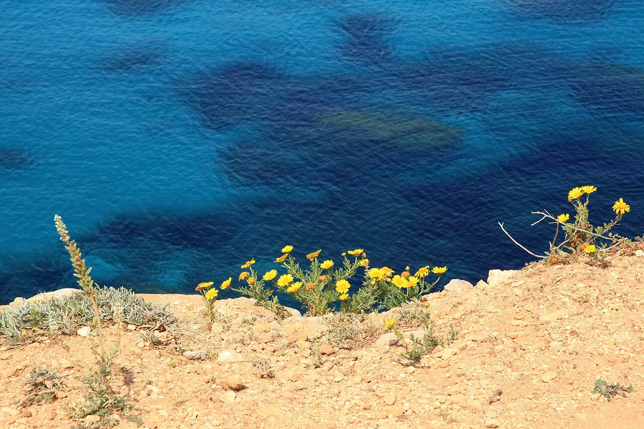 Clear blue sea below the cliffs at Golden Bay.