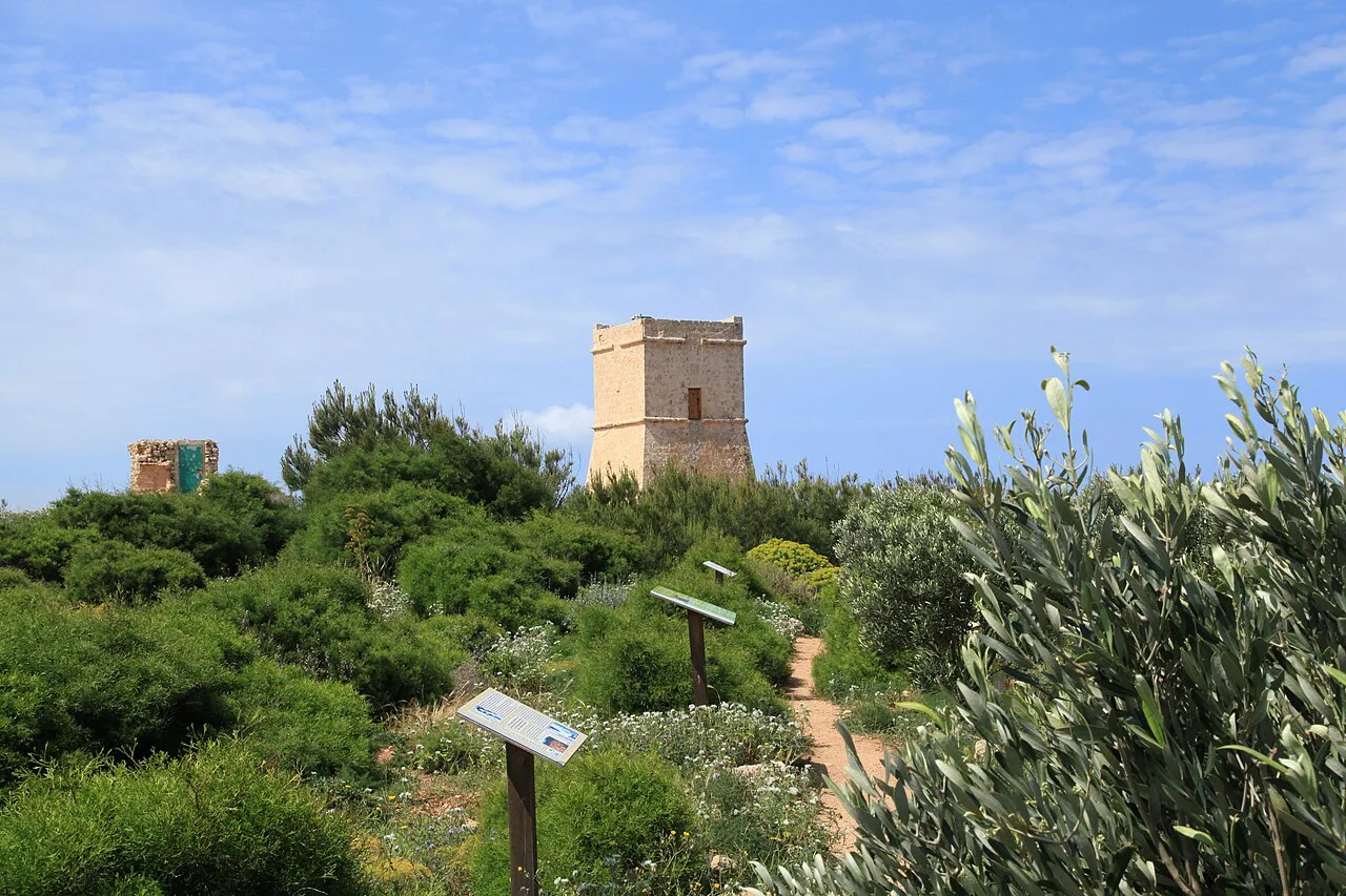 Għajn Tuffieħa Tower above the scrub near Golden Bay.