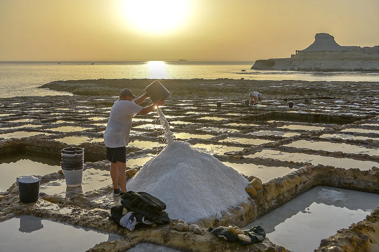 Salt being gathered from the pans on Gozo's northern coast at sunset.