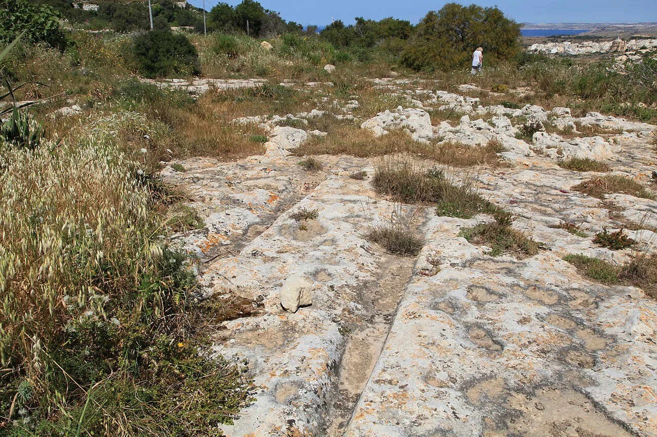 Parallel cart ruts cut into the limestone at Bingemma Gap.