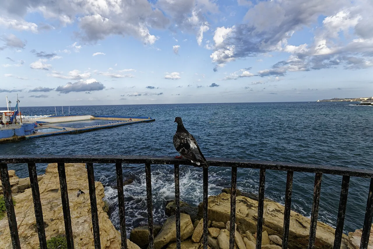 The sea from the railings of the Sliema promenade.
