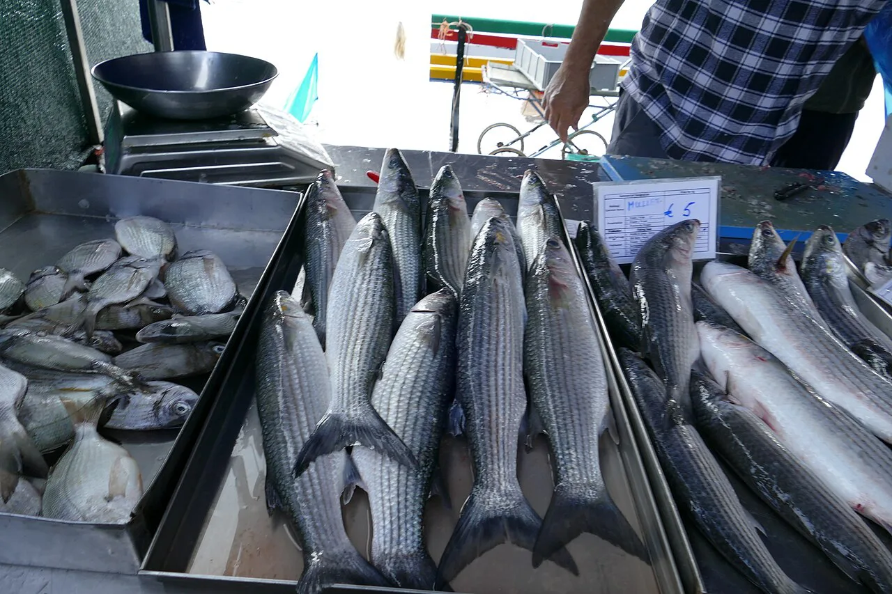 Fresh fish on sale at the Marsaxlokk market.