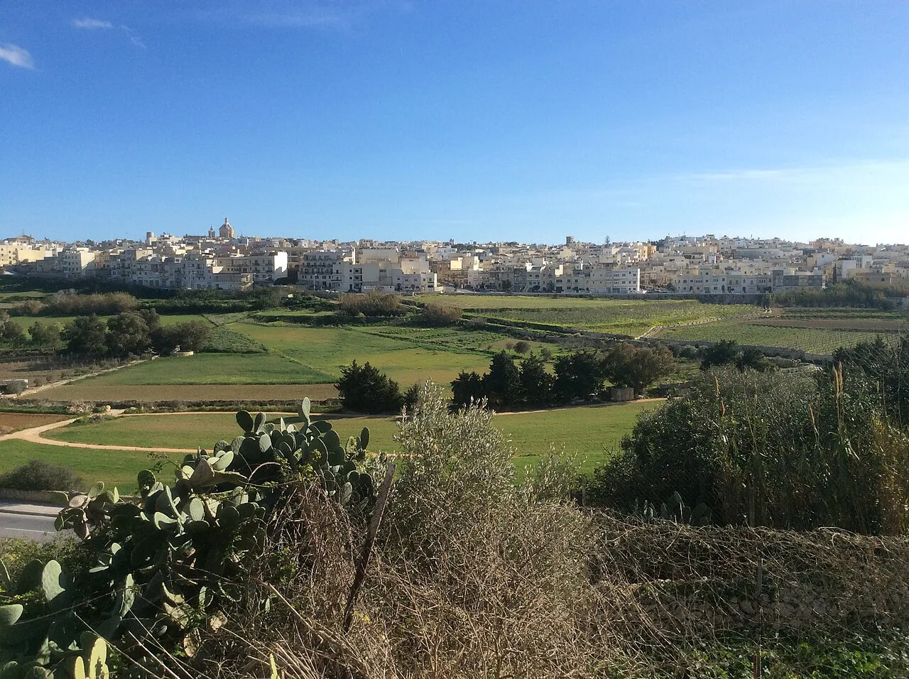 Fields and the town of Rabat seen from near Mtarfa.