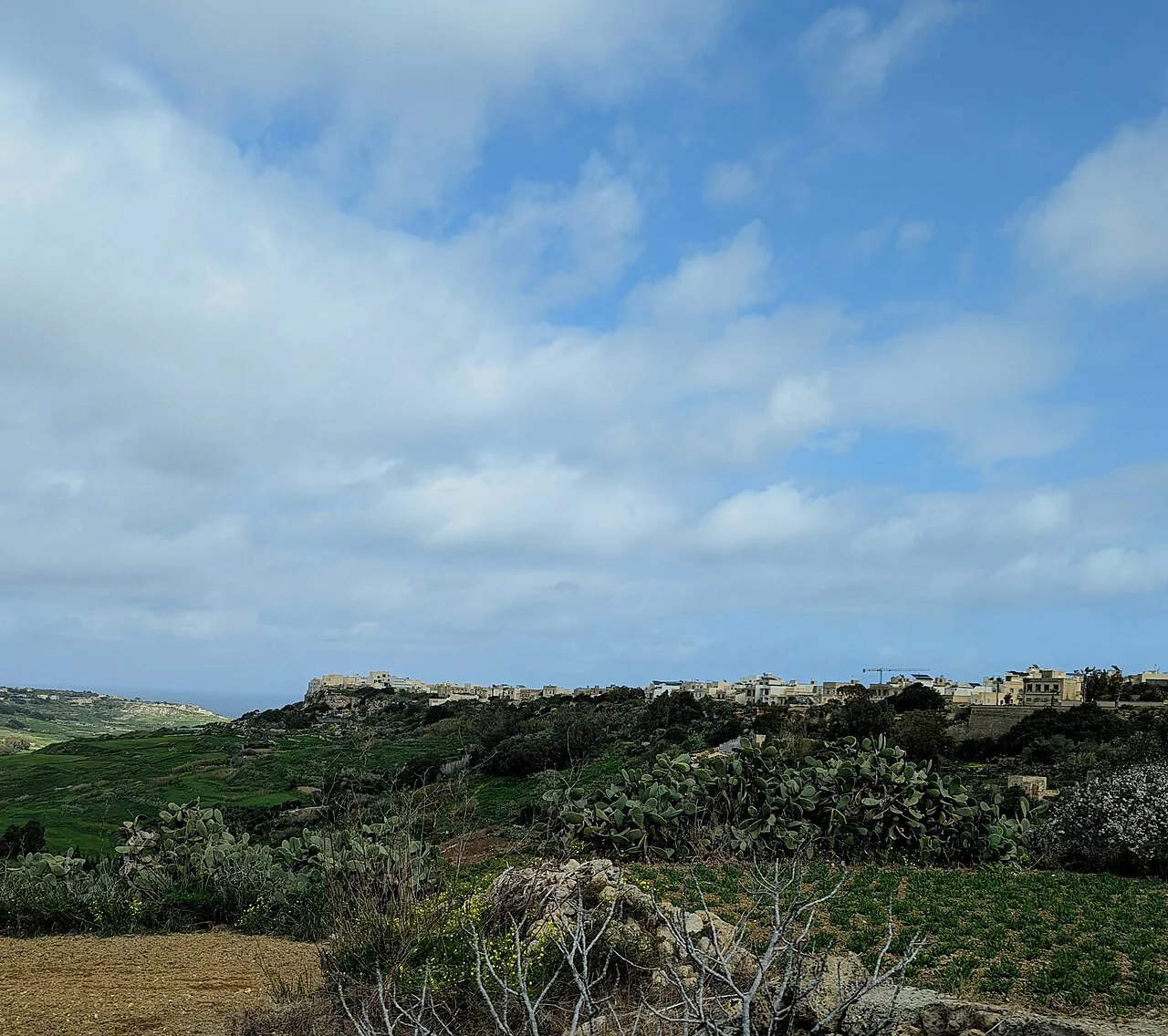 The Gozo countryside seen from Nadur.
