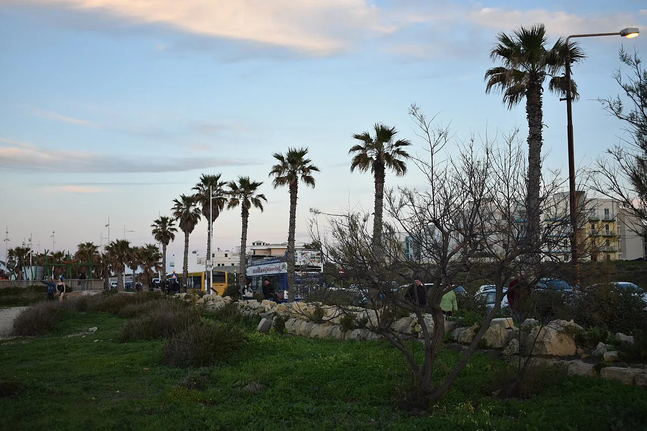 The coastal entrenchment at Qawra Point, with palm trees along the shore.