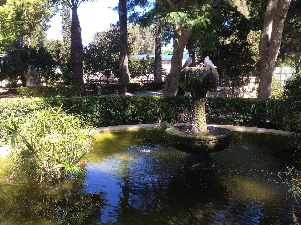 A pond among the trees in San Anton Gardens.