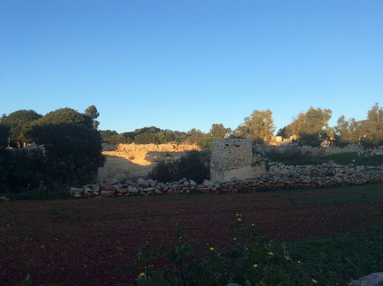 Farmland at San Ġwann.