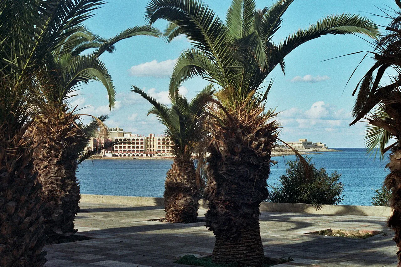 Palm trees on The Strand in Sliema.