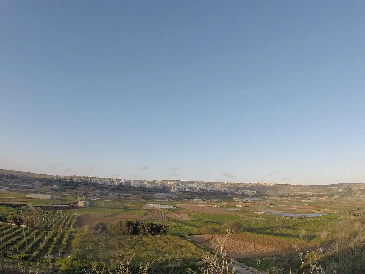 Farmland in the countryside near Mellieħa.