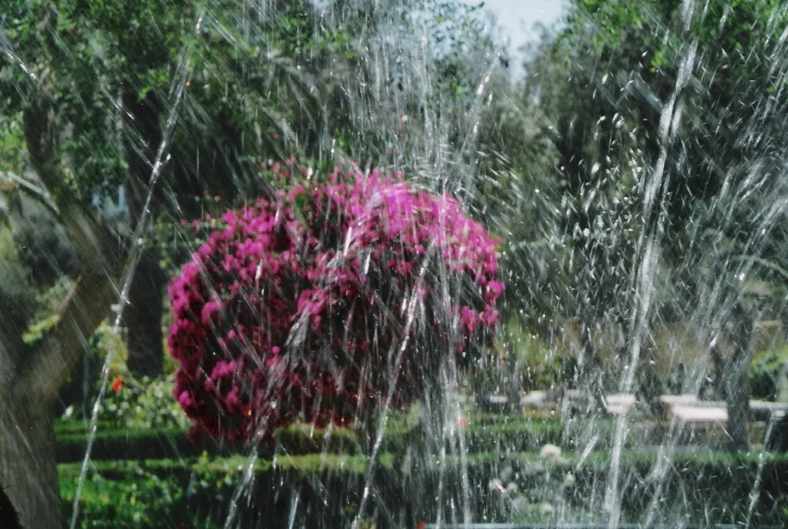 Flowers and a fountain in Villa Rundle Gardens in Victoria, Gozo.